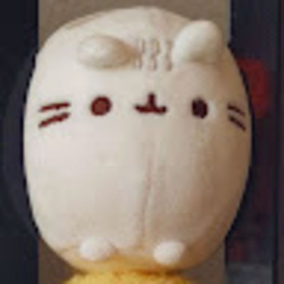 amyisanerd